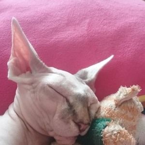 Meet your Posher, Nancy